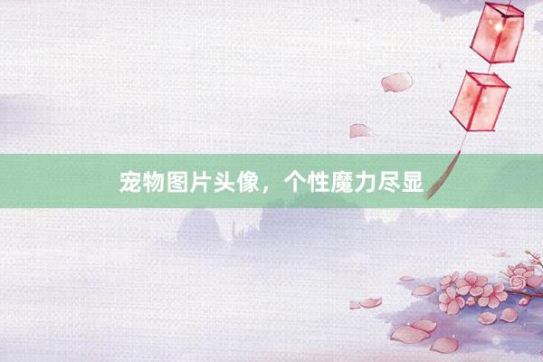 宠物图片头像，个性魔力尽显