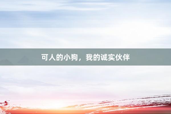 可人的小狗，我的诚实伙伴